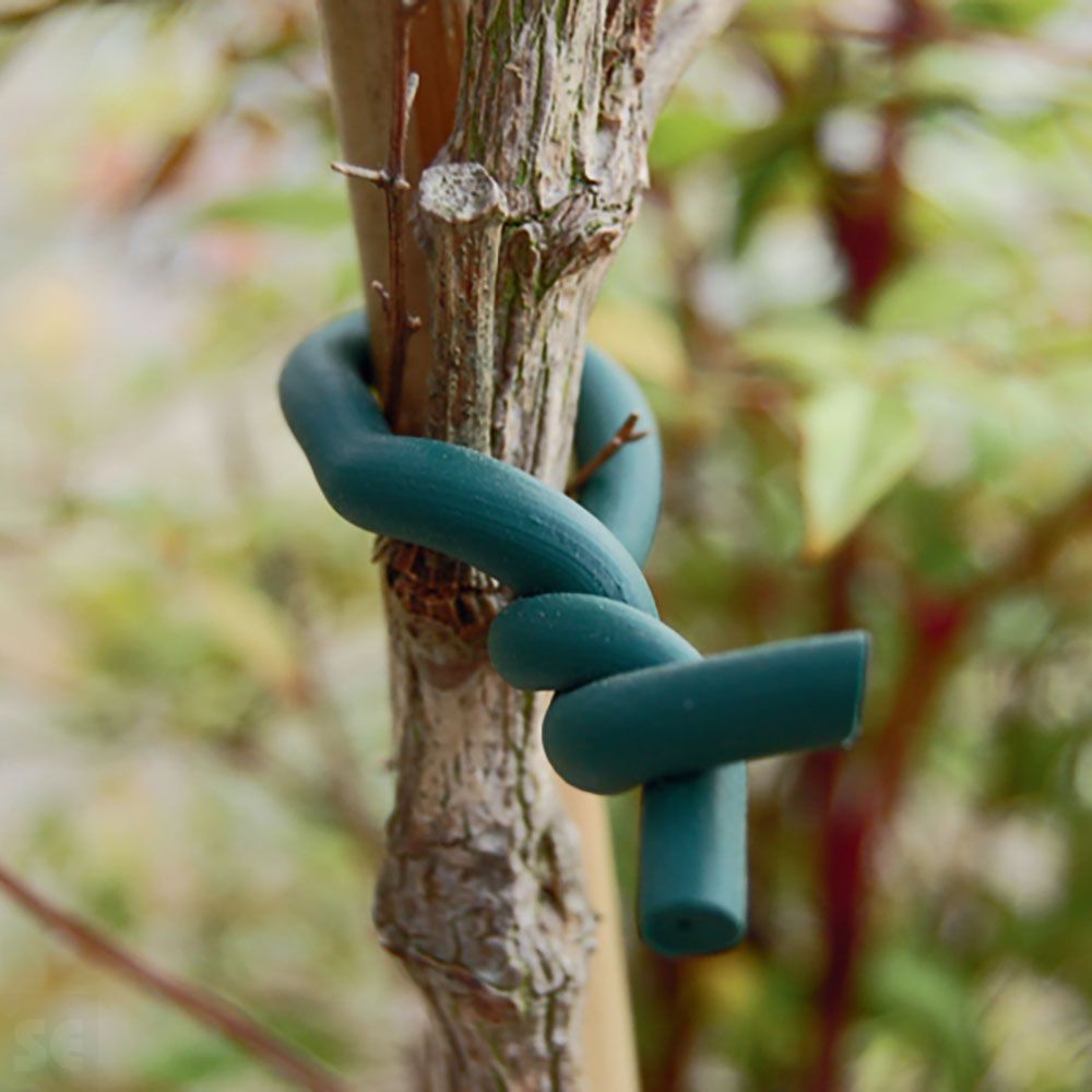 Abrazadera de espuma para plantas delicadas Biflex 6,5mm-5m. Verde