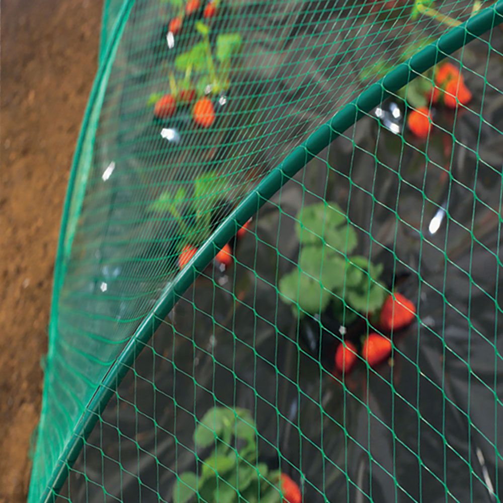 Malla Anti pájaros Nortene Birdnet (5380)  4x12 m Verde