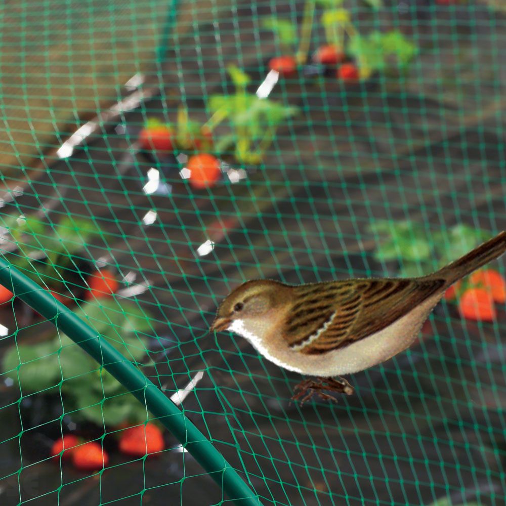 Malla Anti pájaros Nortene Birdnet (5380)  4x12 m Verde