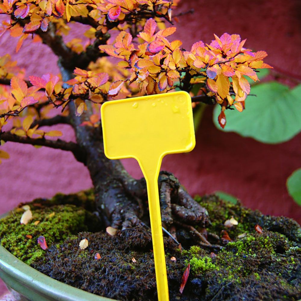 Etiquetas para Plantación Nortene Label 15 cm Amarillo