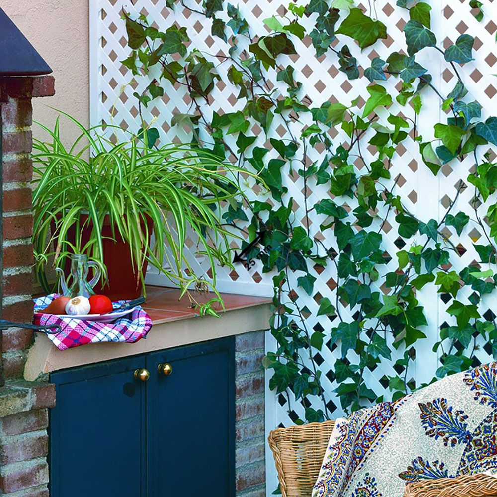 Celosía Decorativa Privat 1x2 m Nortene Blanco