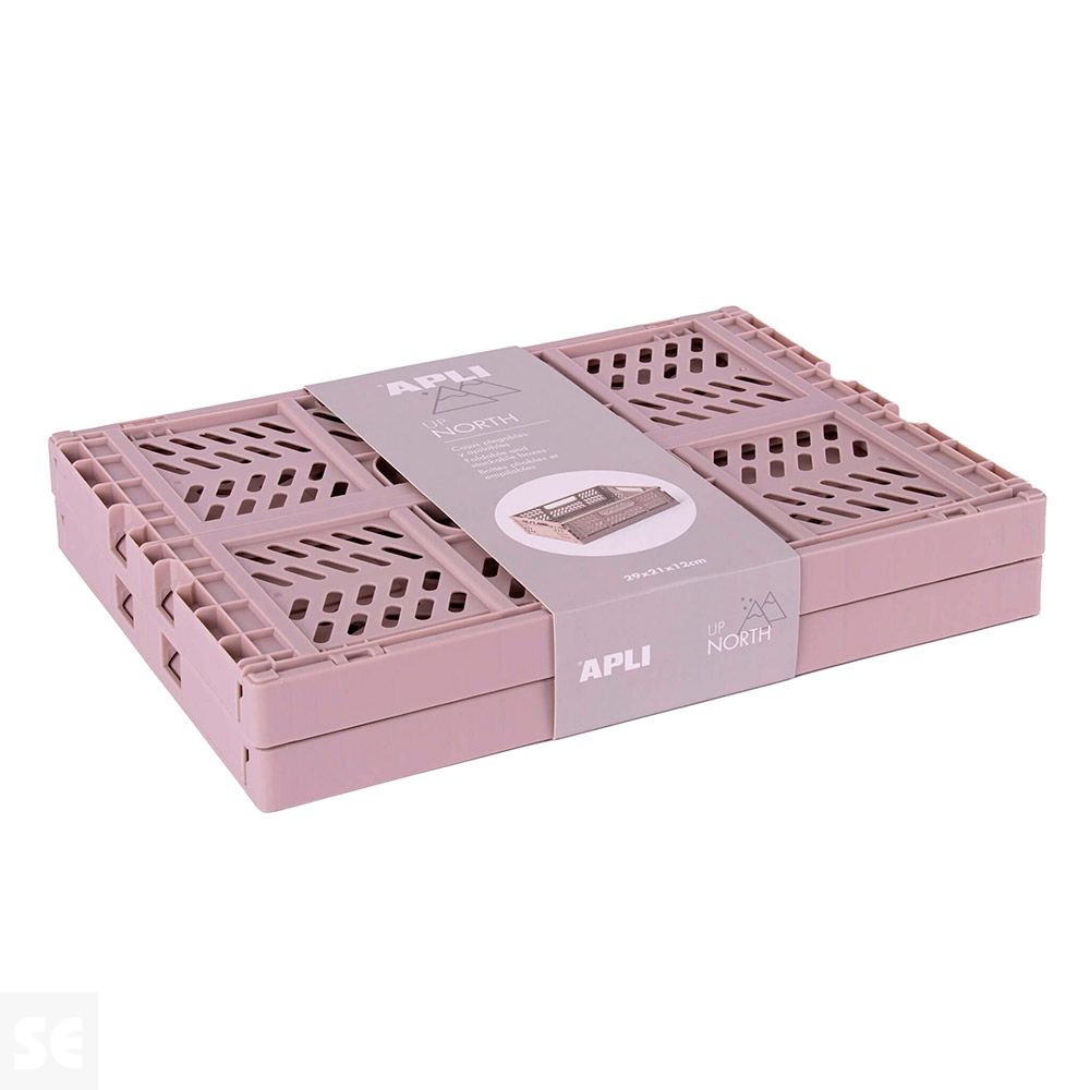 Pack 2 Cajas Plegables Gris 29x21x12 cm