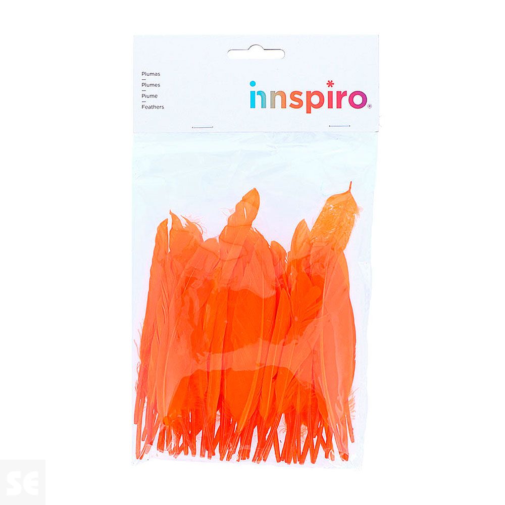 Plumas Indio Naranja 25mmx140mm 60u. 97337