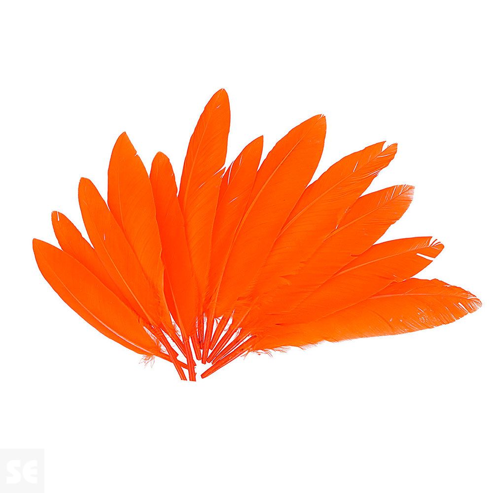 Plumas Indio Naranja 25mmx140mm 60u. 97337