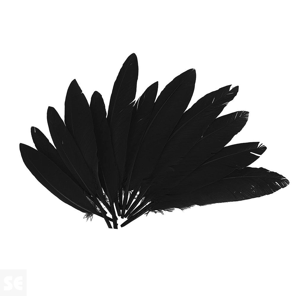 Plumas Indio Negro 25mmx140mm 60u. 97332