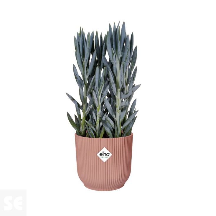 Maceta Vives Fold Rosa Claro 18cm. (diámetro) x 17 cm. (alto)