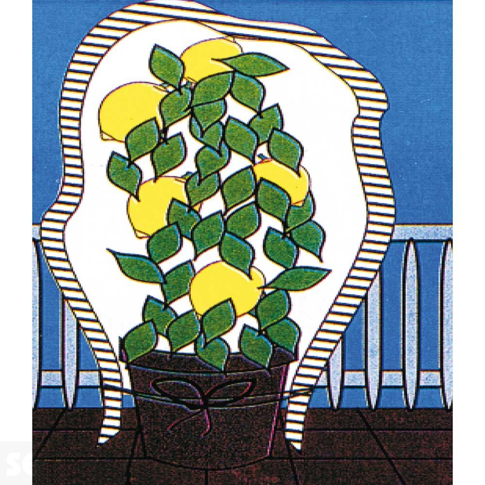 Funda de Hibernación Hiversac