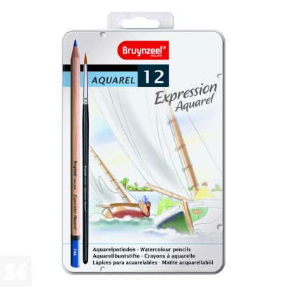 Expression Lap.Acuar.Est.12#