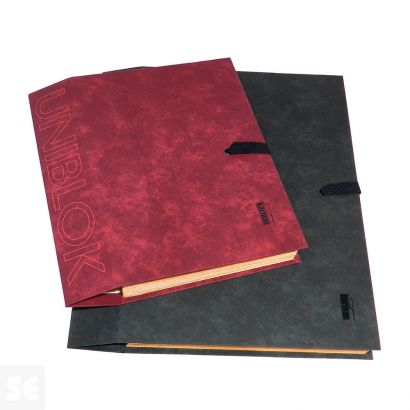 Acordeón Folio Az 1-31 Seda Uniblok Plomo