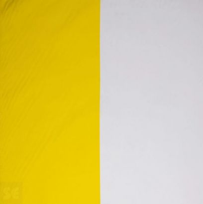 Bandera del Vaticano Visita Papal - ancho 80cm. (a metros)