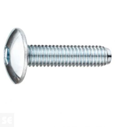 Tornillo Cabeza Redonda M6x30mm (80u.)