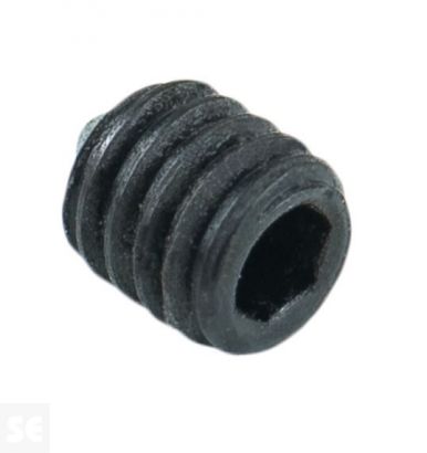 Tornillo Prisionero Hexagono I Blk Sw 4027 M4x5mm. (20u.)