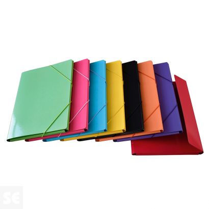 Carpeta Solapas Folio Plastificada Nº8 Neris Caja Surtida