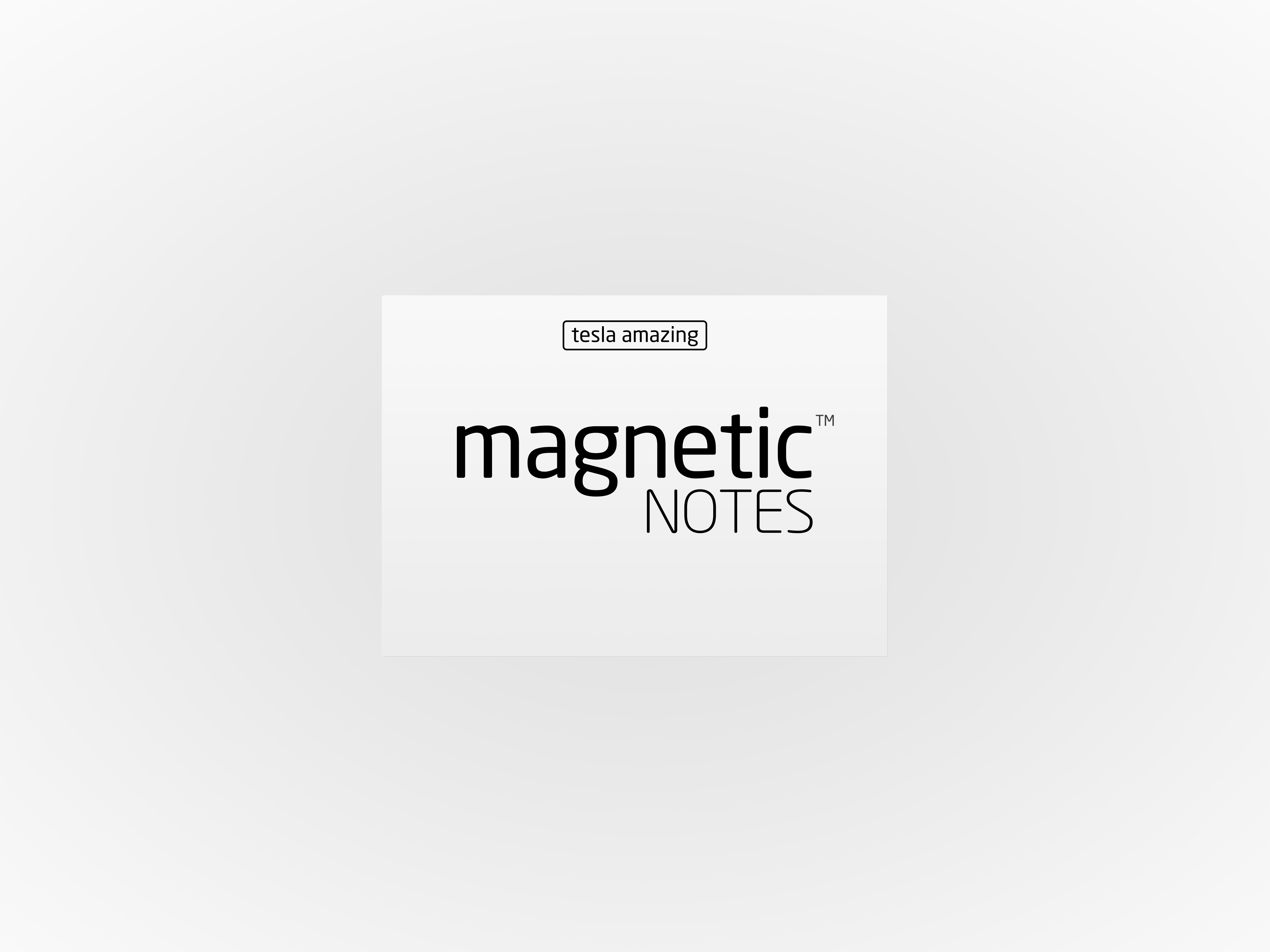 Magnetic Notes S White